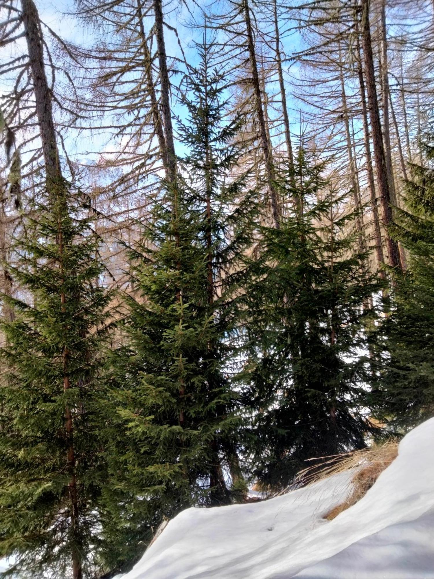 Grand Rive Panzió Saint-Pierre Kültér fotó