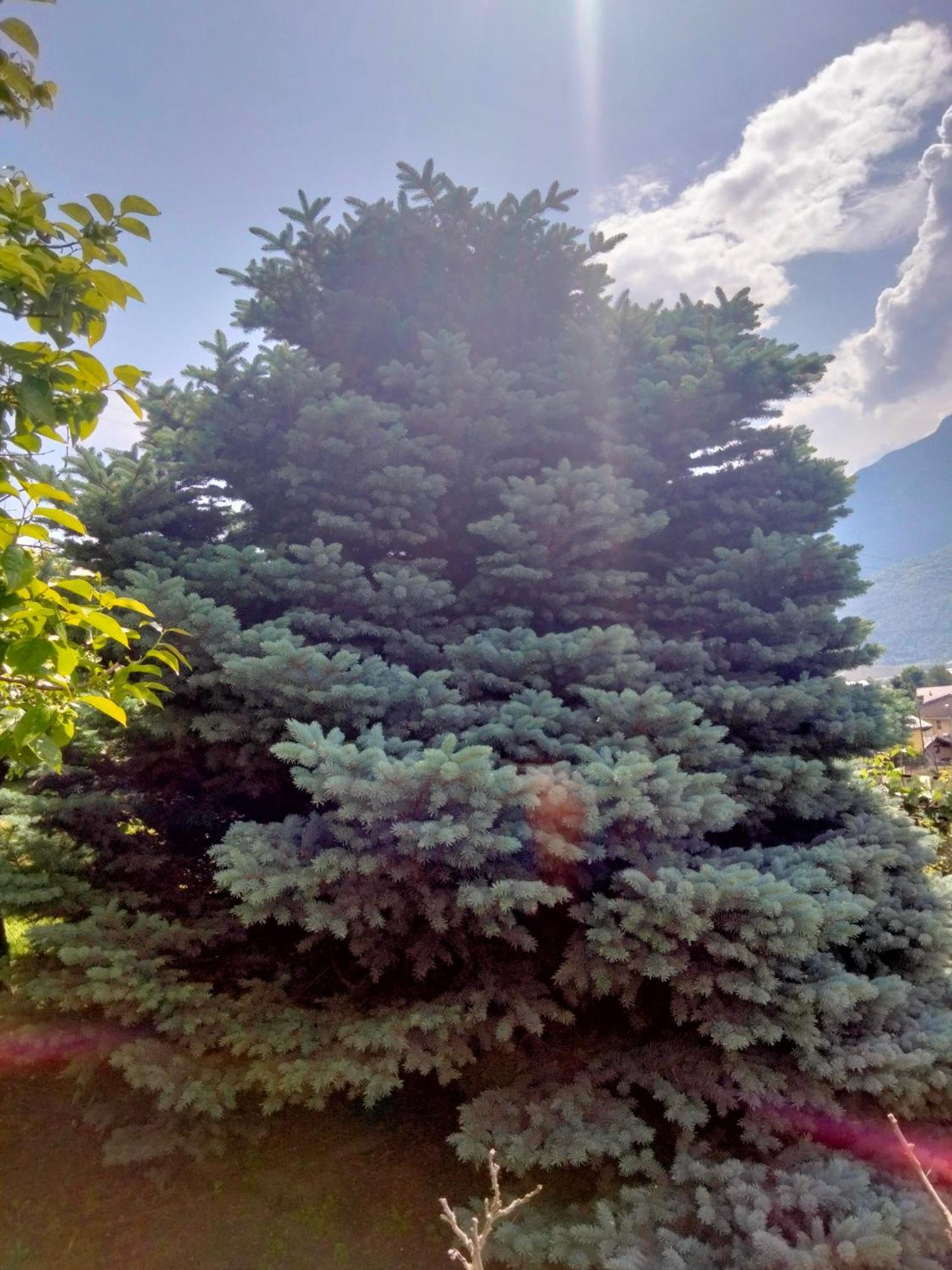 Grand Rive Panzió Saint-Pierre Kültér fotó