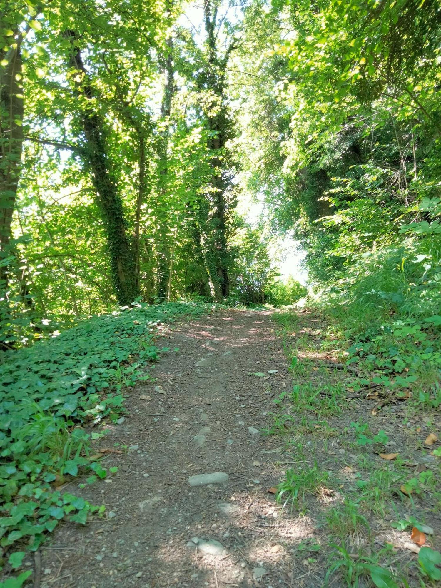 Grand Rive Panzió Saint-Pierre Szoba fotó